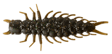 Load image into Gallery viewer, Great Lakes Finesse 2.4-inch Juicy Hellgrammite soft plastic bait with lifelike segmented body and appendages, designed to mimic the larval stage of the Dobson fly, ideal for bass fishing techniques like drop shotting, Ned rigging, and Carolina rigging