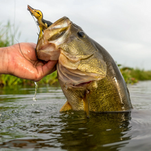 Load image into Gallery viewer, savage gear suicide duck