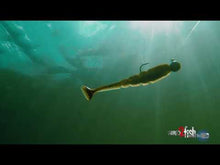 Load and play video in Gallery viewer, Mega Swammer Swimbait - 5.5" (4 Pack)