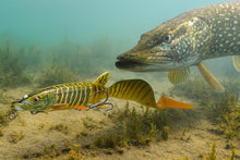 Load image into Gallery viewer, Savage Gear Hybrid Pike
