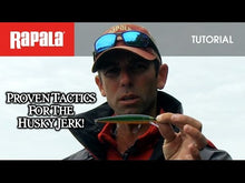 Load and play video in Gallery viewer, Rapala Husky Jerk®
